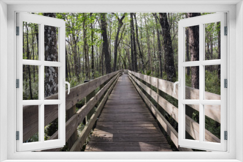 Fototapeta Naklejka Na Ścianę Okno 3D - Long Boardwalk At Swamp Slough Preserve