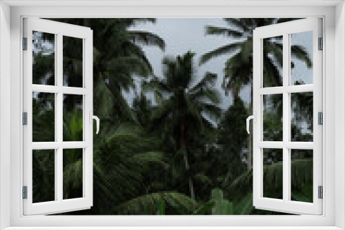 Fototapeta Naklejka Na Ścianę Okno 3D - Palm trees, tropical forest, Bali landscape