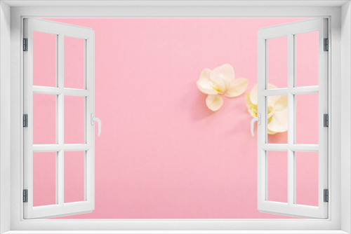 Fototapeta Naklejka Na Ścianę Okno 3D - white orchid flowers on pink ackground