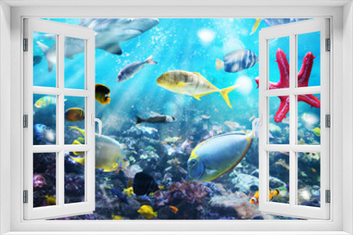 Fototapeta Naklejka Na Ścianę Okno 3D - Colourful fish and marine vegetation undersea with sunray