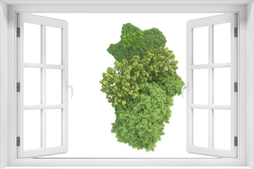 Fototapeta Naklejka Na Ścianę Okno 3D - Tropical landscape isolated on transparent background. 3d rendering - illustration