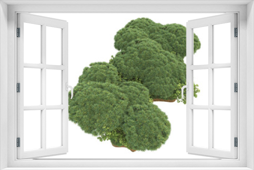 Fototapeta Naklejka Na Ścianę Okno 3D - Tropical forest isolated on transparent background. 3d rendering - illustration