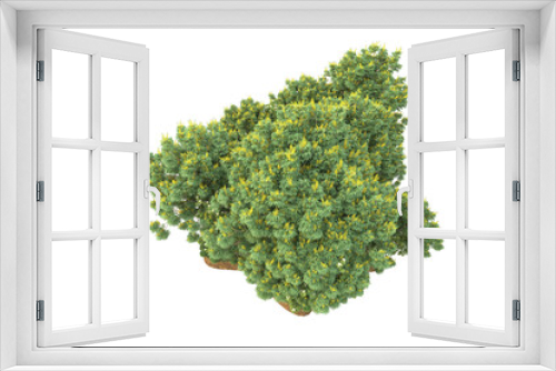 Fototapeta Naklejka Na Ścianę Okno 3D - Tropical landscape isolated on transparent background. 3d rendering - illustration