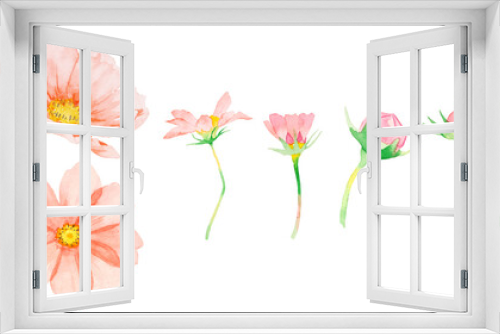 Fototapeta Naklejka Na Ścianę Okno 3D - ピンク色のコスモスの花の素材水彩イラスト
