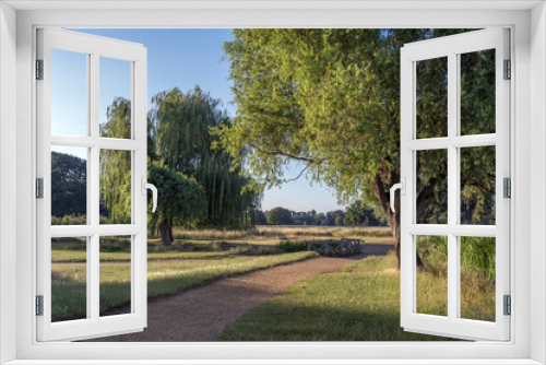 Fototapeta Naklejka Na Ścianę Okno 3D - Summer walk around Bushy Park ponds