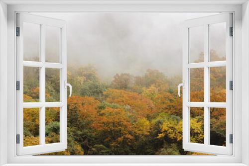 Fototapeta Naklejka Na Ścianę Okno 3D - Autumn forest in the fog