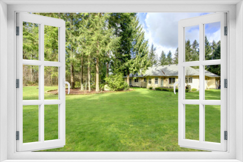 Fototapeta Naklejka Na Ścianę Okno 3D - Beautiful green backyard