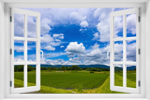 Fototapeta Naklejka Na Ścianę Okno 3D - 初夏の高原の青空と白い雲_007