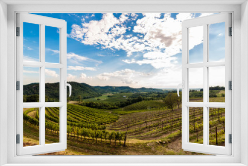 Fototapeta Naklejka Na Ścianę Okno 3D - The beautiful vineyard of Collio, Friuli Venezia-Giulia, Italy