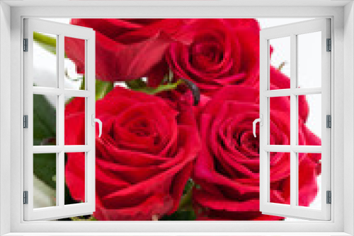 Fototapeta Naklejka Na Ścianę Okno 3D - red rose close-up