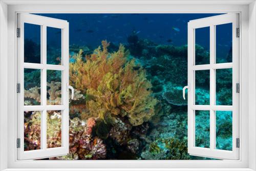 Fototapeta Naklejka Na Ścianę Okno 3D - Abundant sea near the Raja Ampat. Rich marine ecosystém in Indonesia. Exotic diving on the coral reef. 