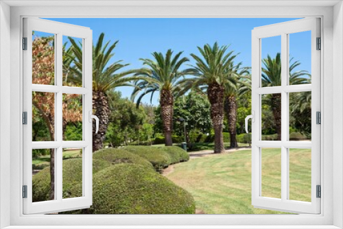 Fototapeta Naklejka Na Ścianę Okno 3D - palmeras en jardin