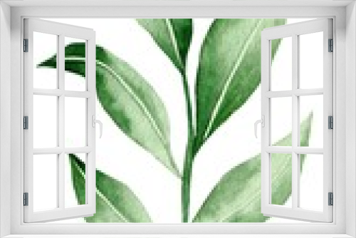 Fototapeta Naklejka Na Ścianę Okno 3D - Watercolor leaves isolated, green tropical elements, white background