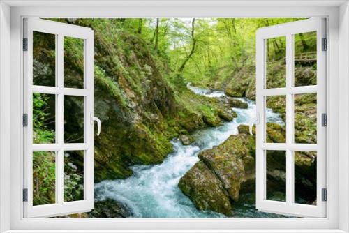 Fototapeta Naklejka Na Ścianę Okno 3D - the vintgar gorge in Solvenia, a nature park with waterfalls and green plants