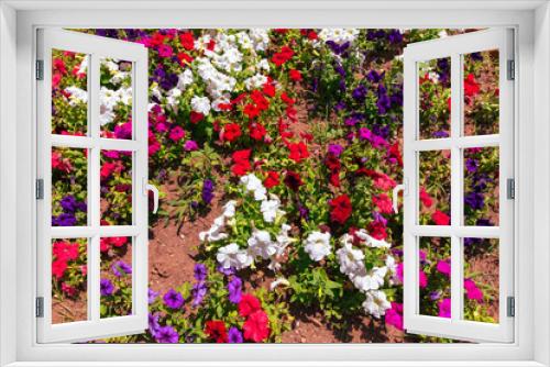 Fototapeta Naklejka Na Ścianę Okno 3D - Red, white and pink flowers grow in the park in a flower bed