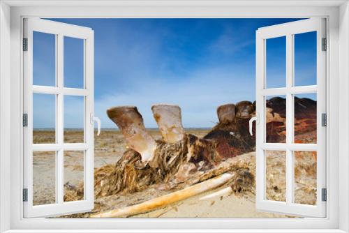 Fototapeta Naklejka Na Ścianę Okno 3D - Cadaver of a Whale on a beach