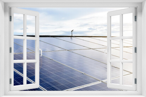 Fototapeta Naklejka Na Ścianę Okno 3D - Photovoltaic panel, new technology to store and use the power from the nature with human life, sustainable energy and environmental friend concept.