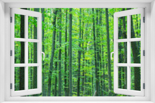 Fototapeta Naklejka Na Ścianę Okno 3D - Path in green summer forest