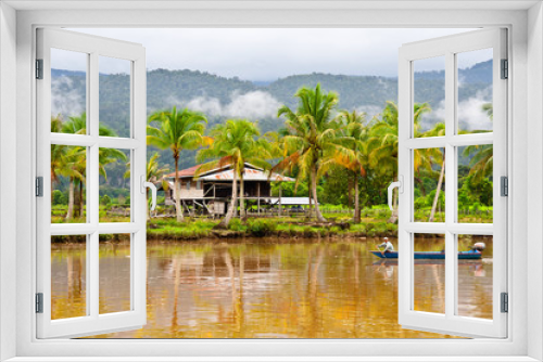 Fototapeta Naklejka Na Ścianę Okno 3D - Borneo
