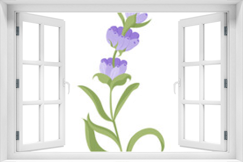 Fototapeta Naklejka Na Ścianę Okno 3D - Lavender flower for your design. Vector illustration isolated on white background.