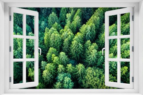 Fototapeta Naklejka Na Ścianę Okno 3D - Wald aus einer anderen Perspektive