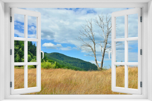 Fototapeta Naklejka Na Ścianę Okno 3D - Dead tree in the mountains on a sunny summer day