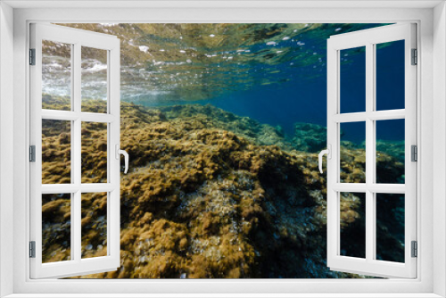 Fototapeta Naklejka Na Ścianę Okno 3D - Coral reef undersea on sunny day