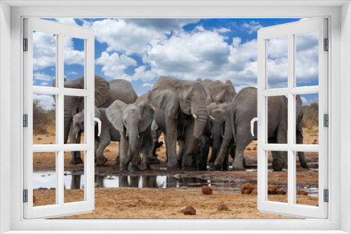 Fototapeta Naklejka Na Ścianę Okno 3D - elephants in the savannah