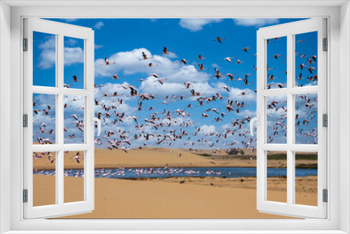 Fototapeta Naklejka Na Ścianę Okno 3D - Flamingoes at bird paradise, walvis bay, namibia