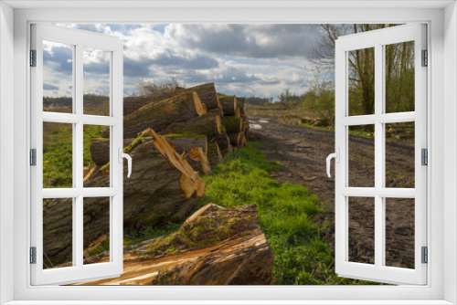 Fototapeta Naklejka Na Ścianę Okno 3D - Stack of wood in a field in a cloudy spring
