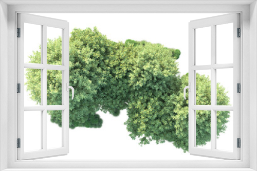Fototapeta Naklejka Na Ścianę Okno 3D - Green landscape isolated on transparent background. 3d rendering - illustration