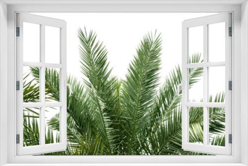 Fototapeta Naklejka Na Ścianę Okno 3D - green palm fronds layout for summer and tropical nature concepts.