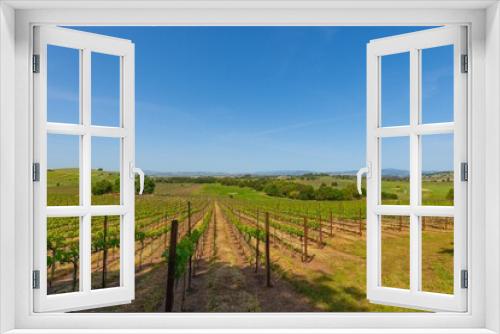 Fototapeta Naklejka Na Ścianę Okno 3D - Scenic view of an orchard and vineyard, with lush green vines stretching across the landscape