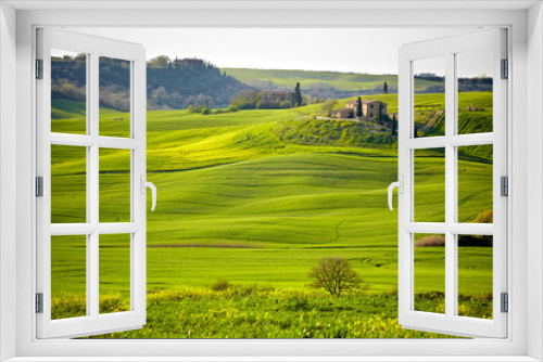 Fototapeta Naklejka Na Ścianę Okno 3D - Beautiful green hills in Tuscany, Italy.