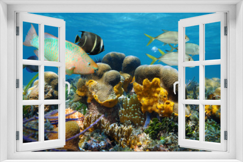 Fototapeta Naklejka Na Ścianę Okno 3D - Underwater scenery with fish in a coral reef