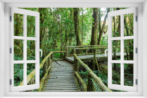 Fototapeta Naklejka Na Ścianę Okno 3D - Wooden walkway in rain forest, Doi Inthanon national park, Chian