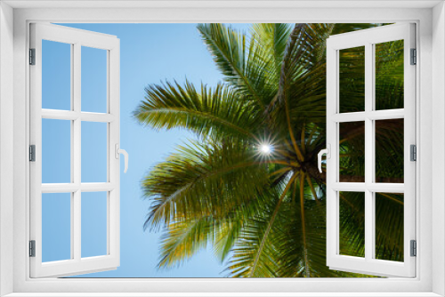 Fototapeta Naklejka Na Ścianę Okno 3D - Close-up Coconut palm tree on Beautiful Tropical beach, copy space, insert text.