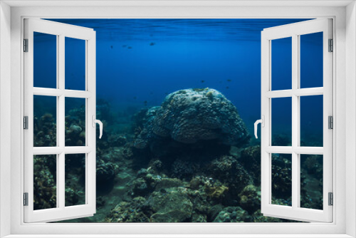 Fototapeta Naklejka Na Ścianę Okno 3D - Underwater scene with corals. Tropical sea with transparent blue water
