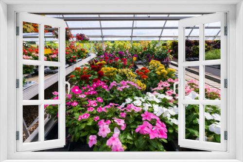 Fototapeta Naklejka Na Ścianę Okno 3D - internal view greenhouse of various flowers