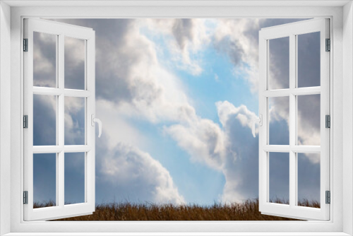 Fototapeta Naklejka Na Ścianę Okno 3D - 秋の草原と空と雲