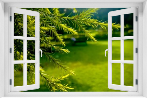 Fototapeta Naklejka Na Ścianę Okno 3D - A green tree branches