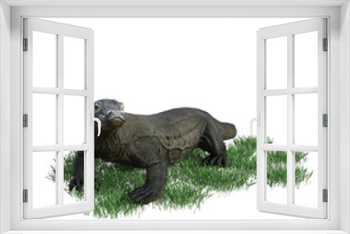 Fototapeta Naklejka Na Ścianę Okno 3D - Komodo animal isolated 3d