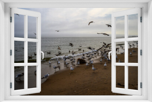 Fototapeta Naklejka Na Ścianę Okno 3D - Spring on a Beach