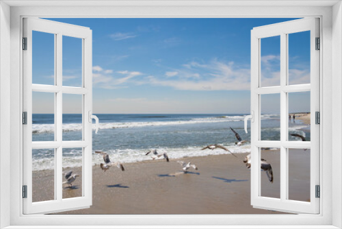 Fototapeta Naklejka Na Ścianę Okno 3D - seagulls at the beach