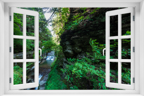 Fototapeta Naklejka Na Ścianę Okno 3D - Robert H. Treman State Park: Gorge Trail