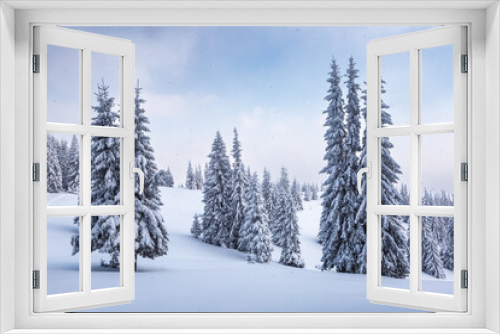 Fototapeta Naklejka Na Ścianę Okno 3D - Winter landscape. Lawn and forest. High mountain. Trees covered with white snow. Snowy background. Nature scenery.