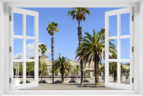 Fototapeta Naklejka Na Ścianę Okno 3D - view of palm trees on a summer day against the backdrop of urban development