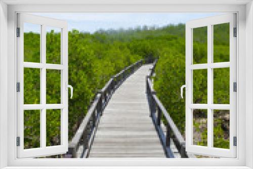 Fototapeta Naklejka Na Ścianę Okno 3D - Wooden path in mangrove forest
