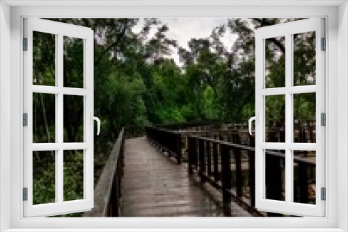 Fototapeta Naklejka Na Ścianę Okno 3D - Inviting wooden pathway in a tranquil and lush  mangrove forest in Klang Selangor, Malaysia