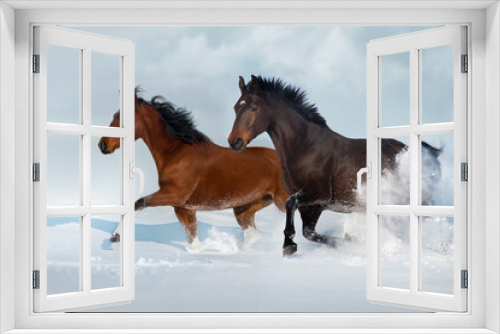 Fototapeta Naklejka Na Ścianę Okno 3D - Horses run in snow field